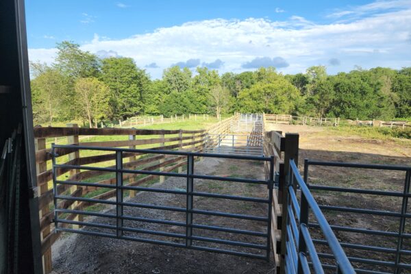 Agricultural Fencing Gates