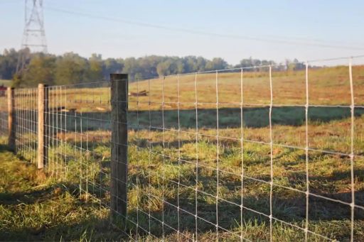 Cattle Panel & Field Fencing