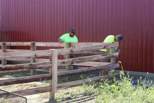 Fence Boards | Scheiderer Fencing