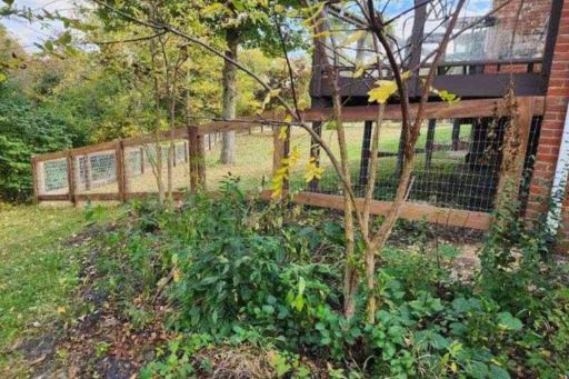 Dog Fence Installation in Ohio