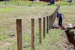 Wood Fence Posts | Scheiderer Fencing