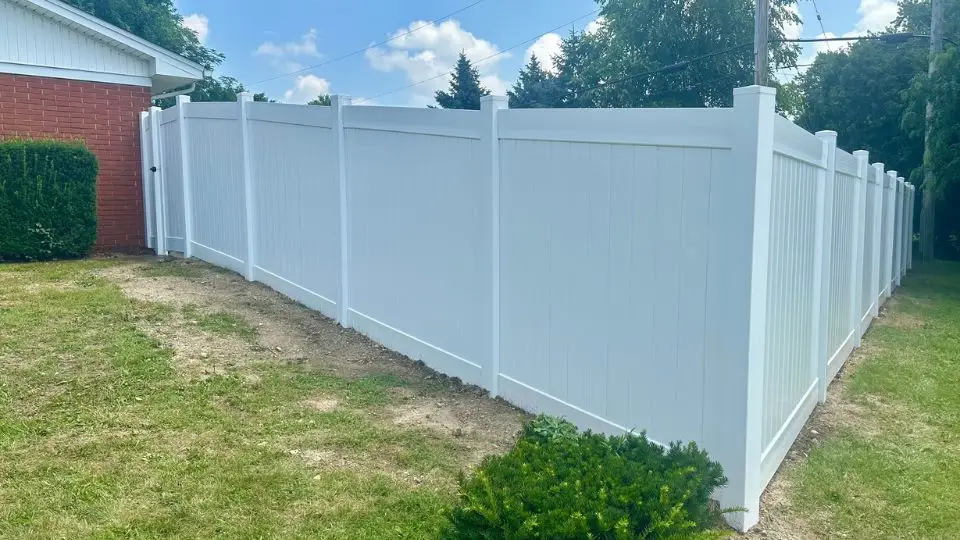 Best Fence for Dogs That Dig or Jump (Complete Guide)