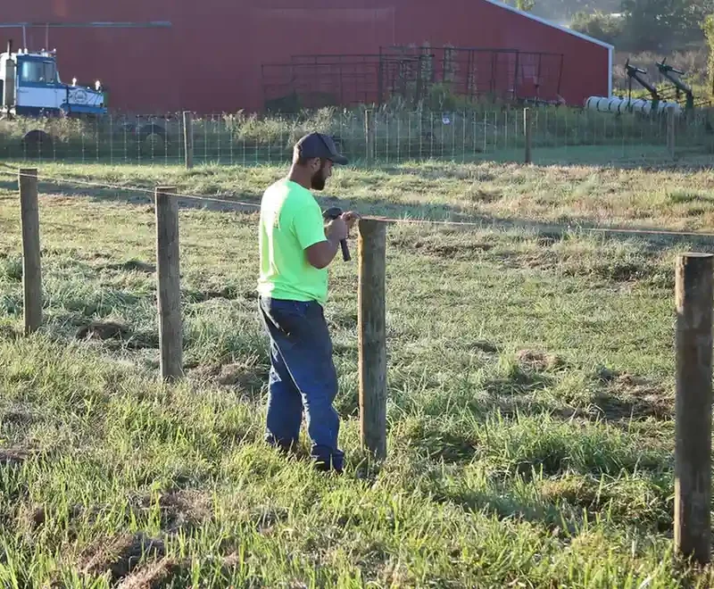 chain fence panels