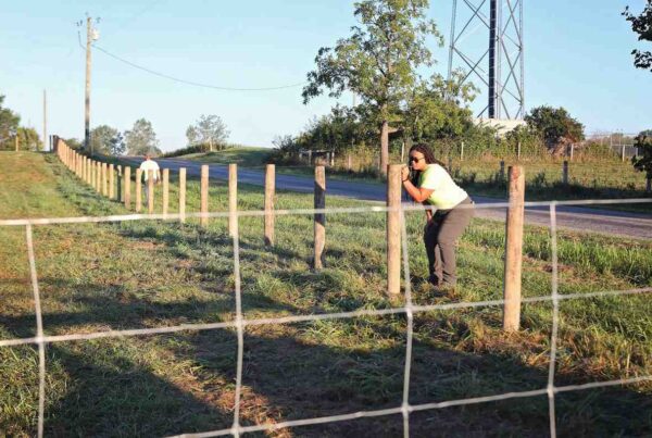 Ohio Fence Installation