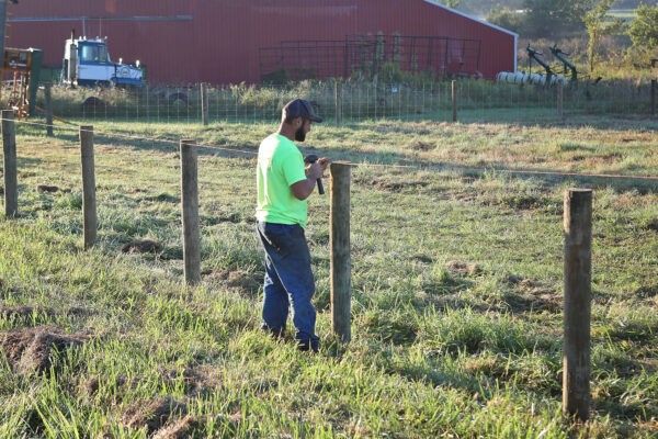 fence panels