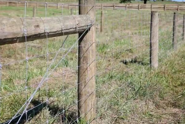 Fence Post Supplies